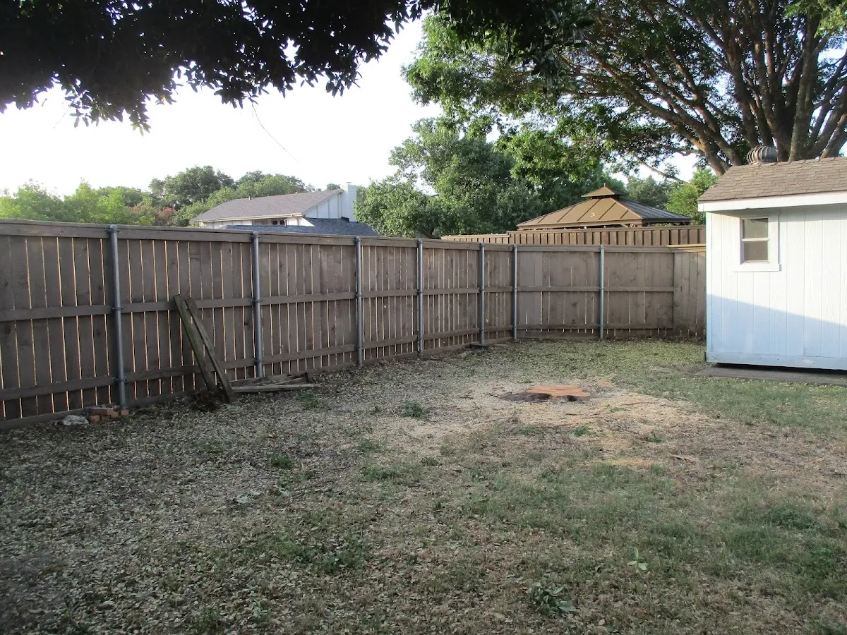 Cleared yard after professional tree removal in Rock Springs